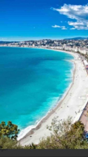 Boutique apartment LA LAVANDE FREE PARKING center Nice